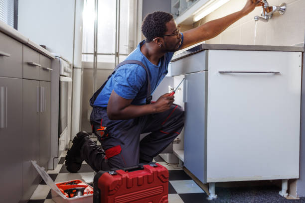 Best Local Plumber Services  in Ben Avon, SC